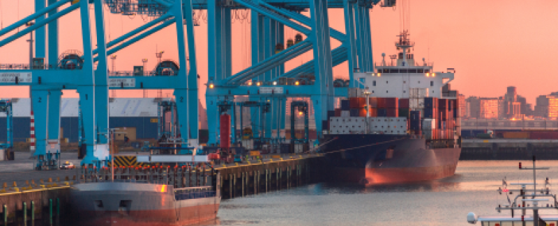 Risk assessment survey for ports and terminals